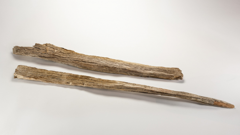 These wooden stakes, found by a glacier survey team on Mount Maclure in 1932, are thought to have been fragments of the ones that John Muir and Galen Clark used to measure the ice's movement in the 1870s. NPS Photo (YOSE 9577)