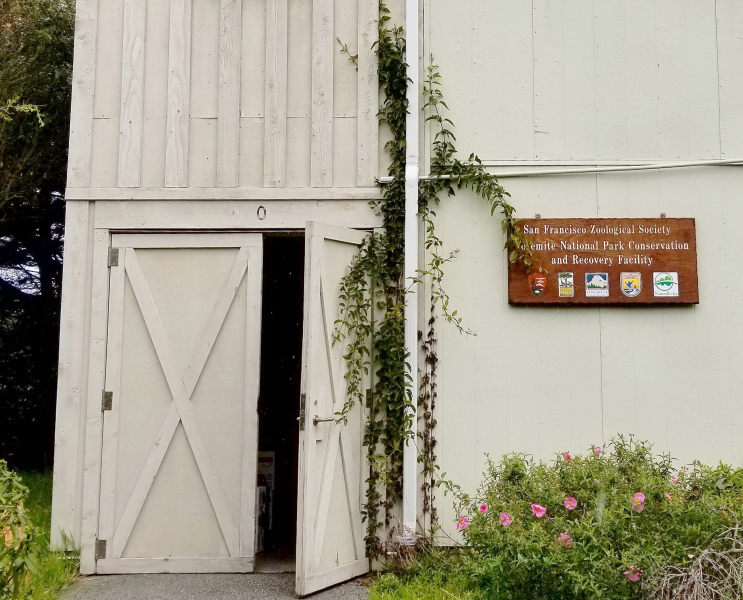 The San Francisco Zoological Society - Yosemite National Park Conservation and Recovery Facility, dedicated in 2016, plays a key role in efforts to restore Yosemite's frog and turtle populations.