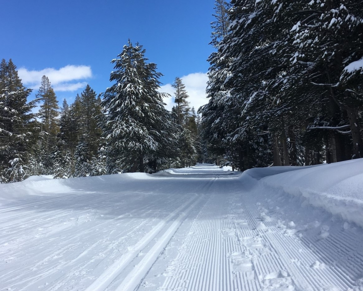 Separate tracks make for happy trails! Make snow travel a little easier for fellow travelers by keeping snowshoe and ski tracks apart. Photo: Erin Hallett