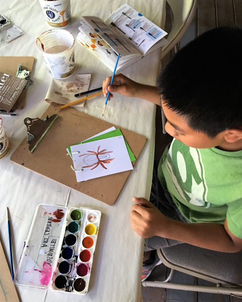 Nature inspires Lora's lessons at the Art Center, where participants use the classic Laws Field Guide as inspiration for their own illustrations.